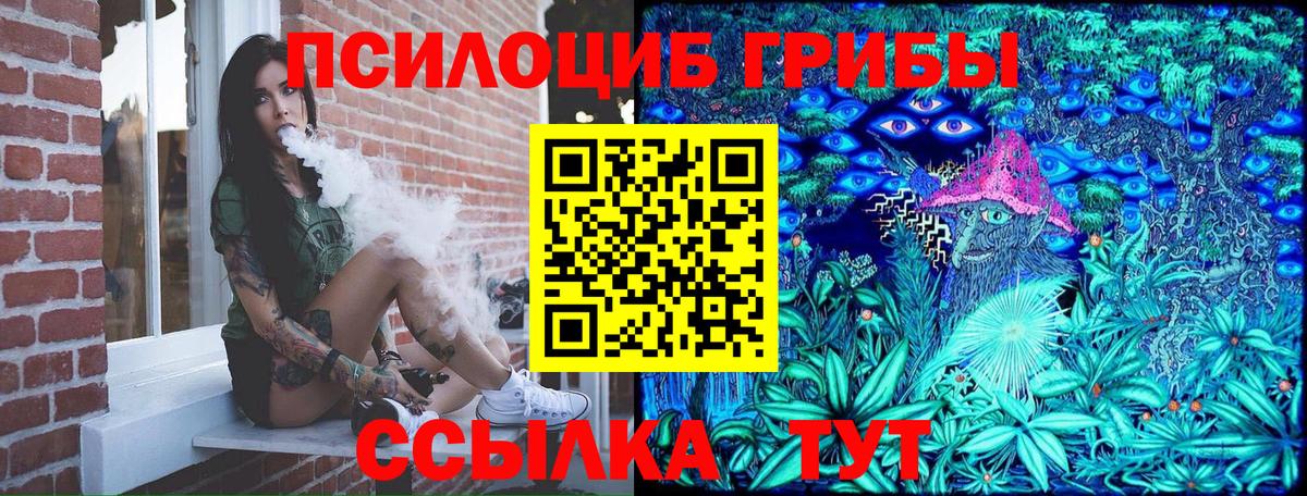 цена наркотик  Псилоцибиновые грибы мухоморы  Галлюциногенные грибы ЛСД  Вход с VPN  Карачаевск 