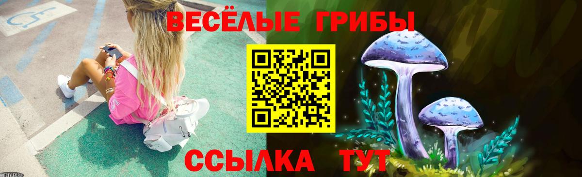Псилоцибиновые грибы прущие грибы Карачаевск