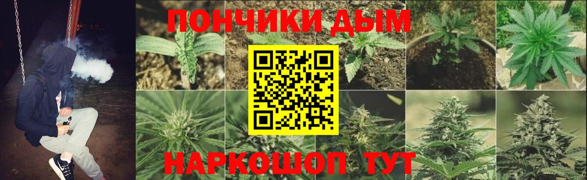 МАРИХУАНА THC 21%  МАРИХУАНА Amnesia  Канабис Bruce Banner  Карачаевск  Бошки марихуана индика  Вход с VPN 